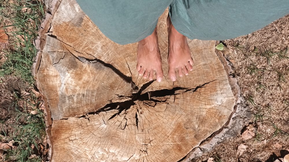 Ritiro intensivo di yoga e meditazione 9/11 ottobre 2026